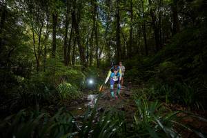 BIB: 
                            <button type="button" onclick="openModal(19236801)" class="btn btn-primary btn-sm float-right btn-popup" data-toggle="modal" data-target=".modal-high-quality">
                        <i class="fas fa-shopping-cart"></i> Add to Cart
                    </button>
                                            <button type="button" onclick="isThisMe(19236801, true)" class="btn btn-success btn-sm float-right btn-popup btn-isme hidden" data-toggle="tooltip" data-placement="bottom" title="นี่คือรูปของคุณใช่ไหม คลิกที่นี่เพื่อเอาเข้าอัลบั้ม">
                        <i class="fas fa-plus"></i> Add to album
                    </button>
                    <button type="button" onclick="isThisMe(19236801, false)" class="btn btn-warning btn-sm float-right btn-popup btn-isnotme hidden">
                        <i class="fas fa-ban"></i> Remove from album
                    </button>